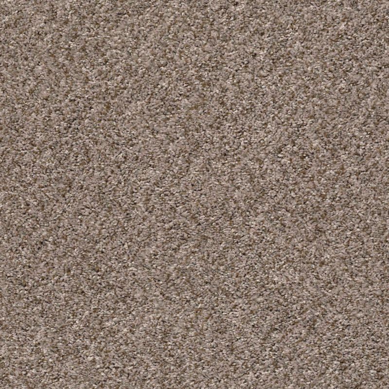 Shaw Floors Simply The Best Cabana Life (b) Net Brown Reed