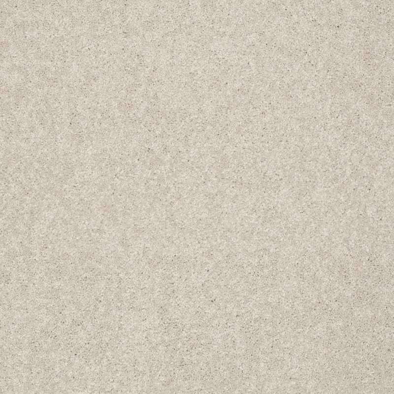 Shaw Floors Foundations Take The Floor Texture II Neutral Ground