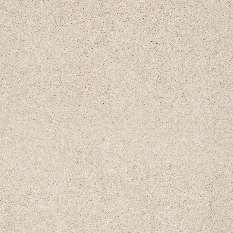 Shaw Floors Foundations Take The Floor Texture Blue Patience