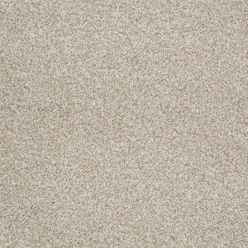 Shaw Floors Foundations Take The Floor Tonal I Fantasy