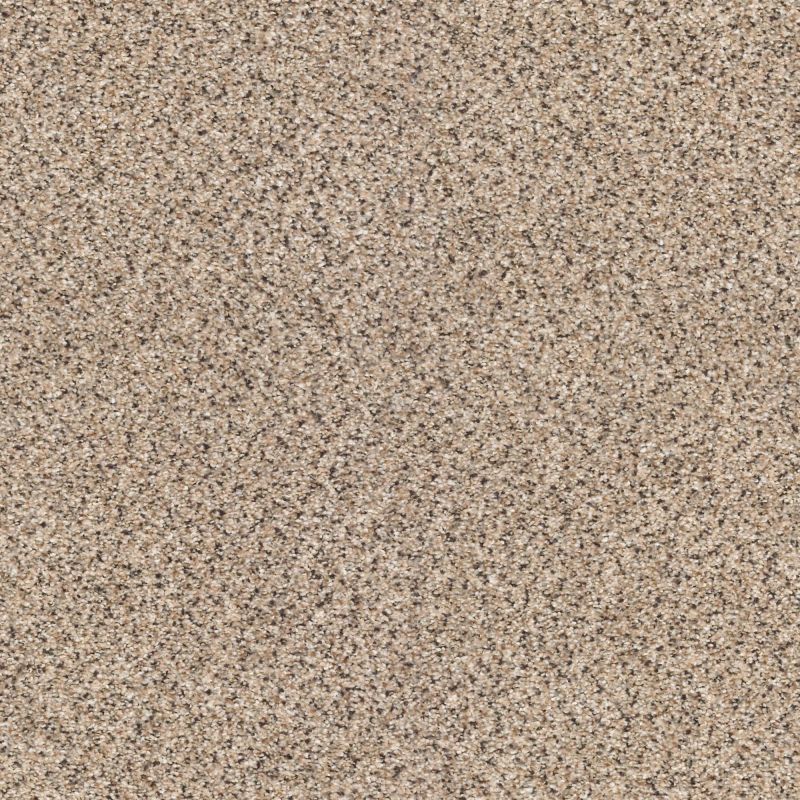 Shaw Floors Foundations Take The Floor Accent II Desert Sunrise