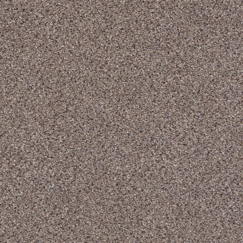 Shaw Floors Foundations Take The Floor Accent II Storm