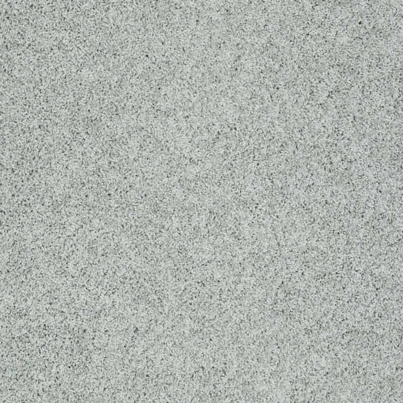 Shaw Floors Foundations Take The Floor Twist I Pewter