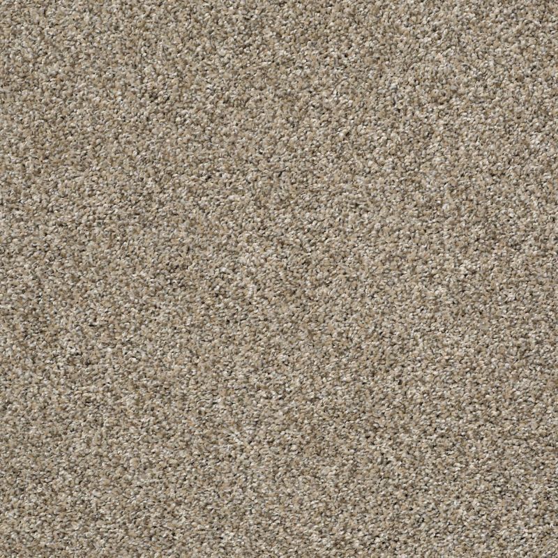 Shaw Floors Pet Perfect Plus Charmed Hues Sugar Cookie