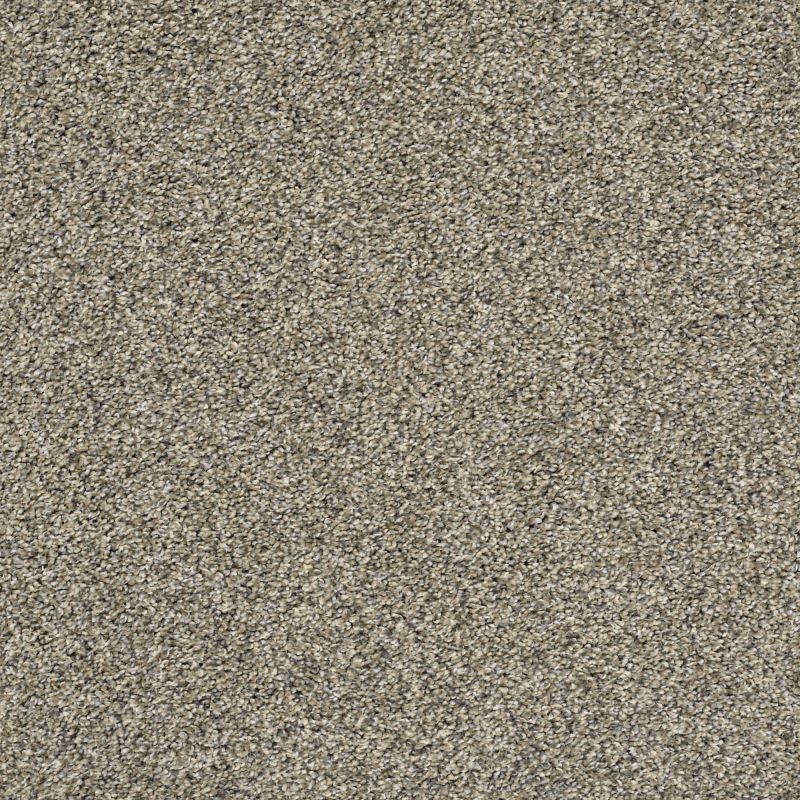Shaw Floors Pet Perfect Plus Charmed Hues Park Trail