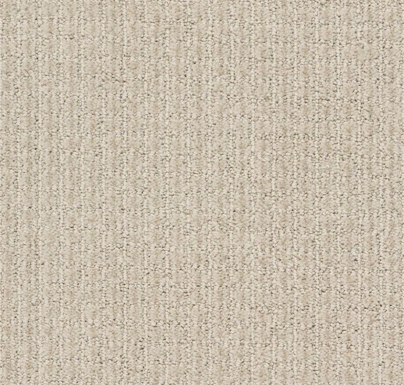 Shaw Floors Foundations Aerial Arts Spun Wool