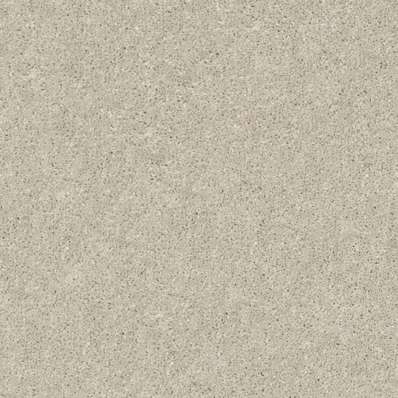 Shaw Floors Simply The Best After All I Bird House