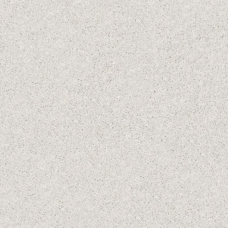 Shaw Floors Simply The Best After All II Dolphin