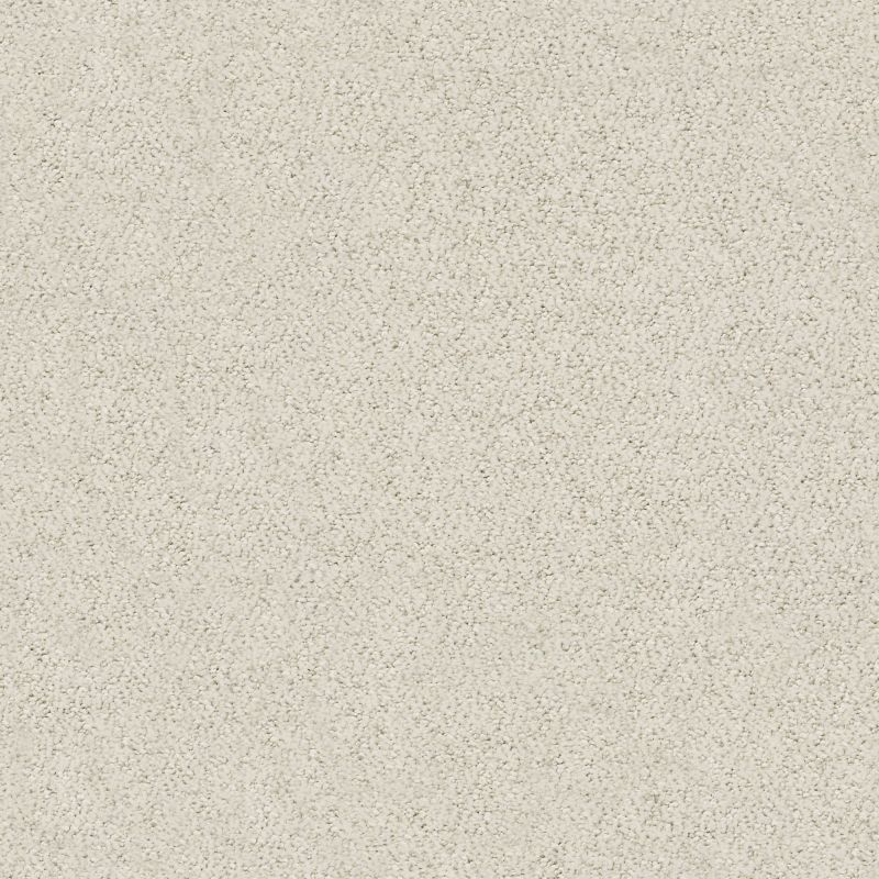 Shaw Floors Foundations Aerial View Net Soft Linen