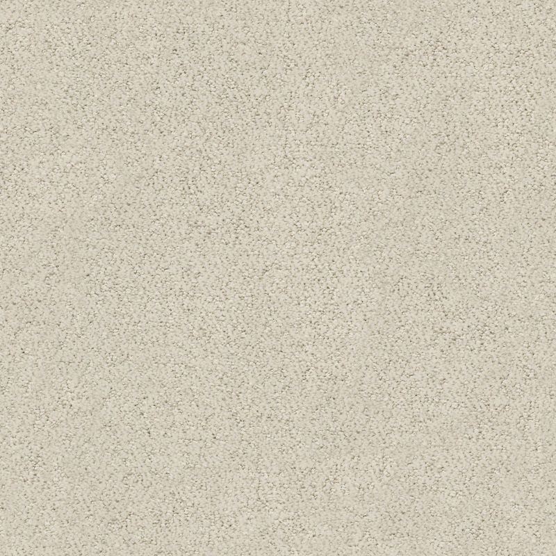 Shaw Floors Foundations Aerial View Net Canvas