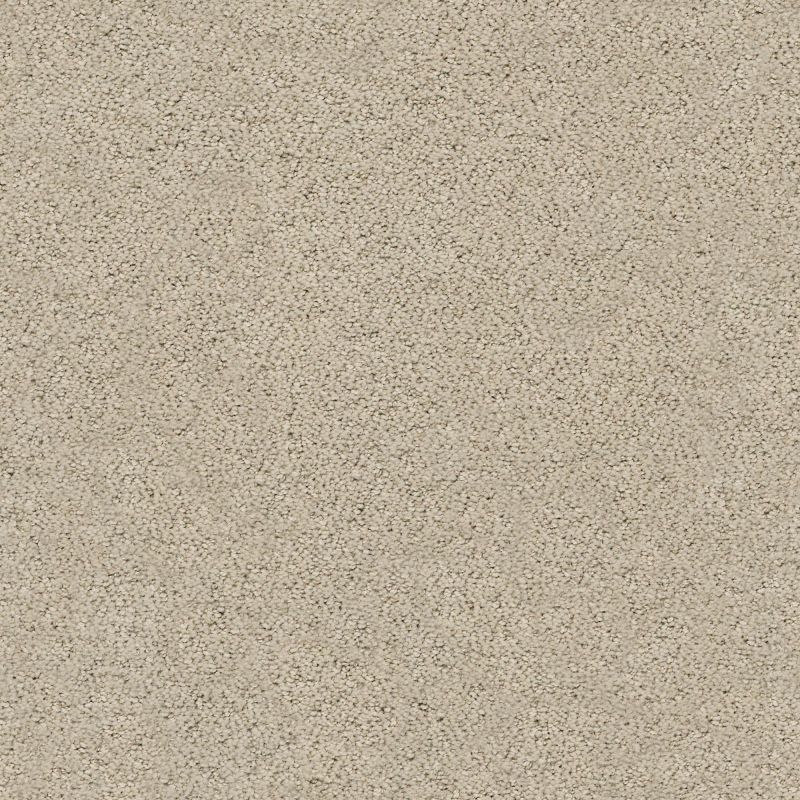 Shaw Floors Foundations Aerial View Net Tiramisu