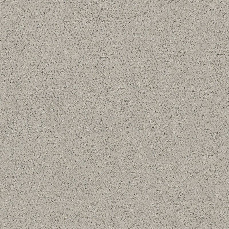 Shaw Floors Foundations Aerial View Net Powder Grey