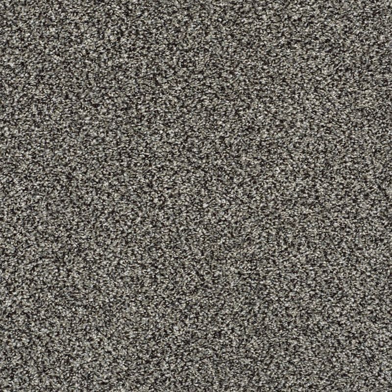 Shaw Floors Pet Perfect Plus Charmed Hues Net Meteorite
