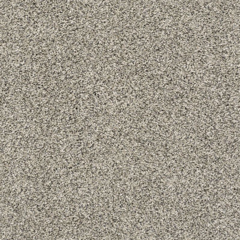 Shaw Floors Pet Perfect Plus Charmed Hues Net Pencil Sketch