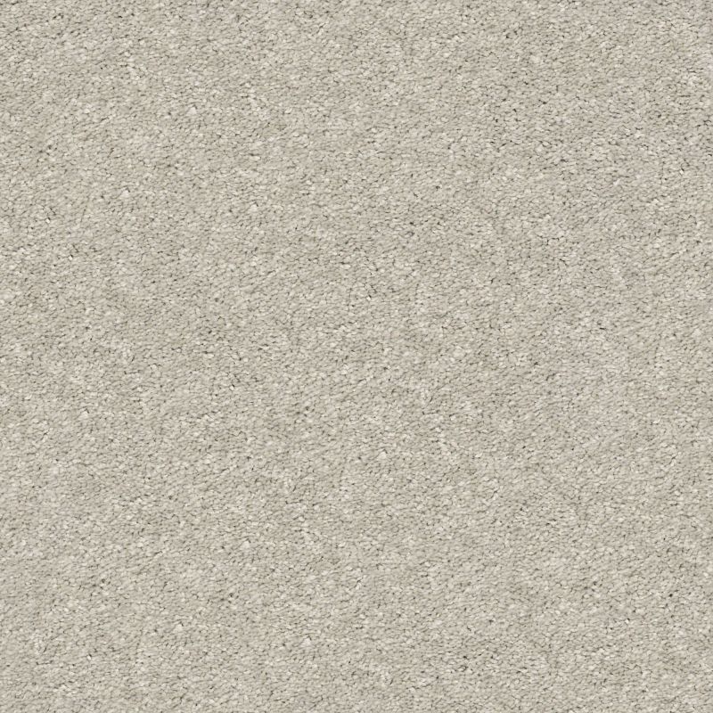 Shaw Floors Simply The Best After All II Net Pebble Creek
