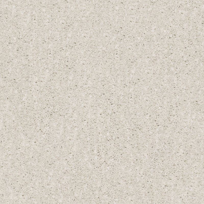 Shaw Floors Caress By Shaw Ombre Whisper Net Meditative