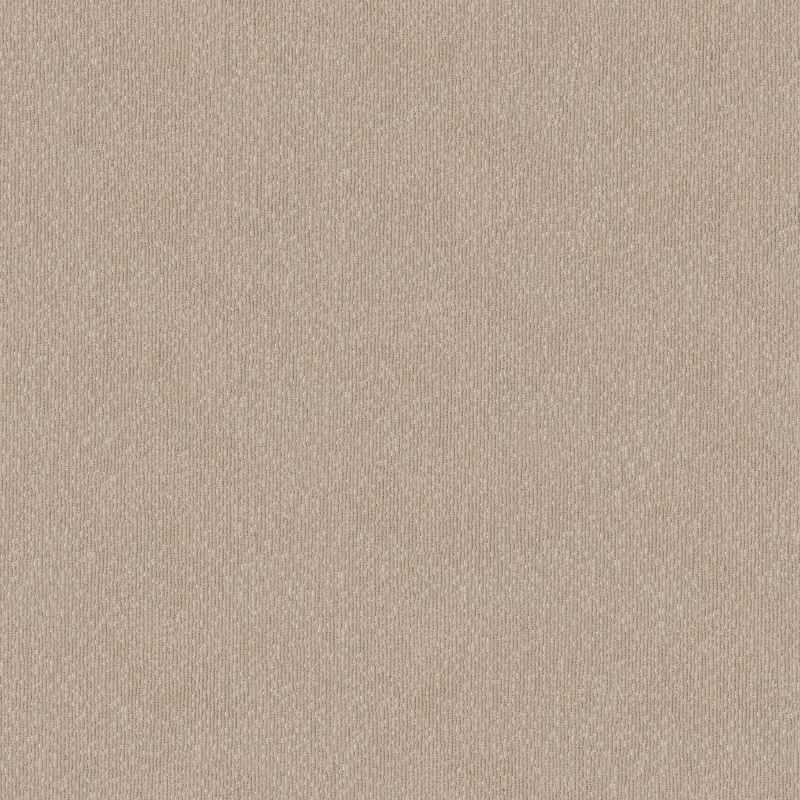 Shaw Floors Caress By Shaw Tranquil Waters Net Fossil