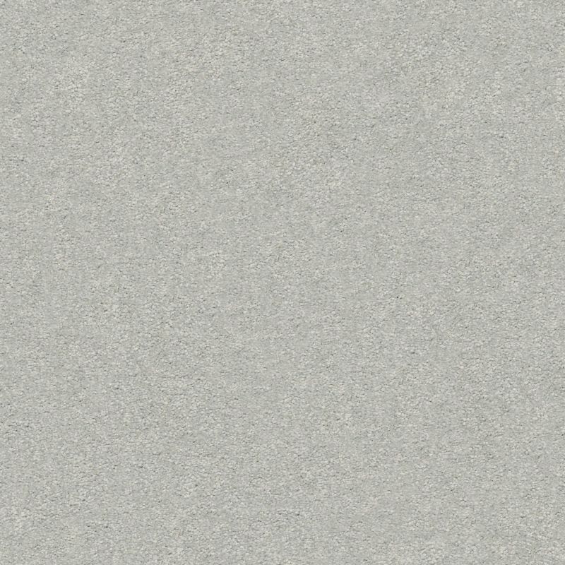Shaw Floors Foundations Take The Floor Texture I Net Gray Owl