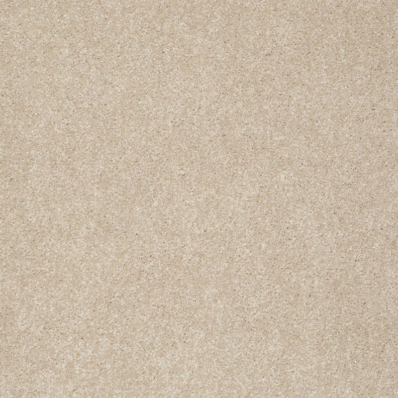 Shaw Floors Foundations Take The Floor Texture II Net Hickory