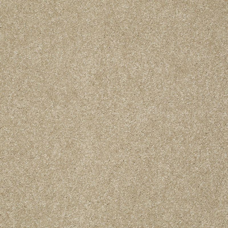 Shaw Floors Foundations Take The Floor Texture II Net Hazelnut