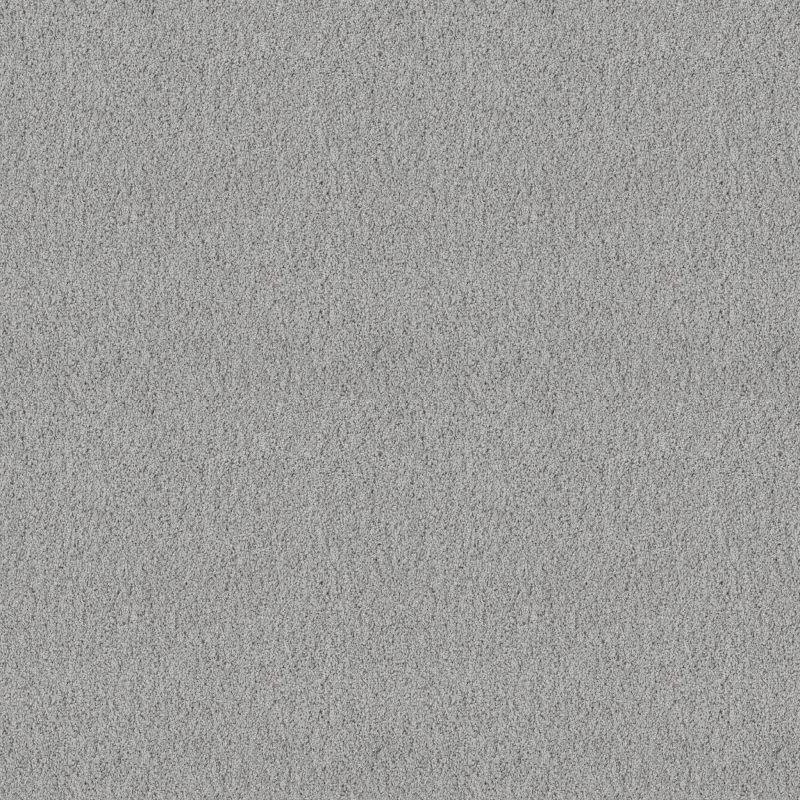 Shaw Floors Foundations Take The Floor Twist I Net Gray Owl