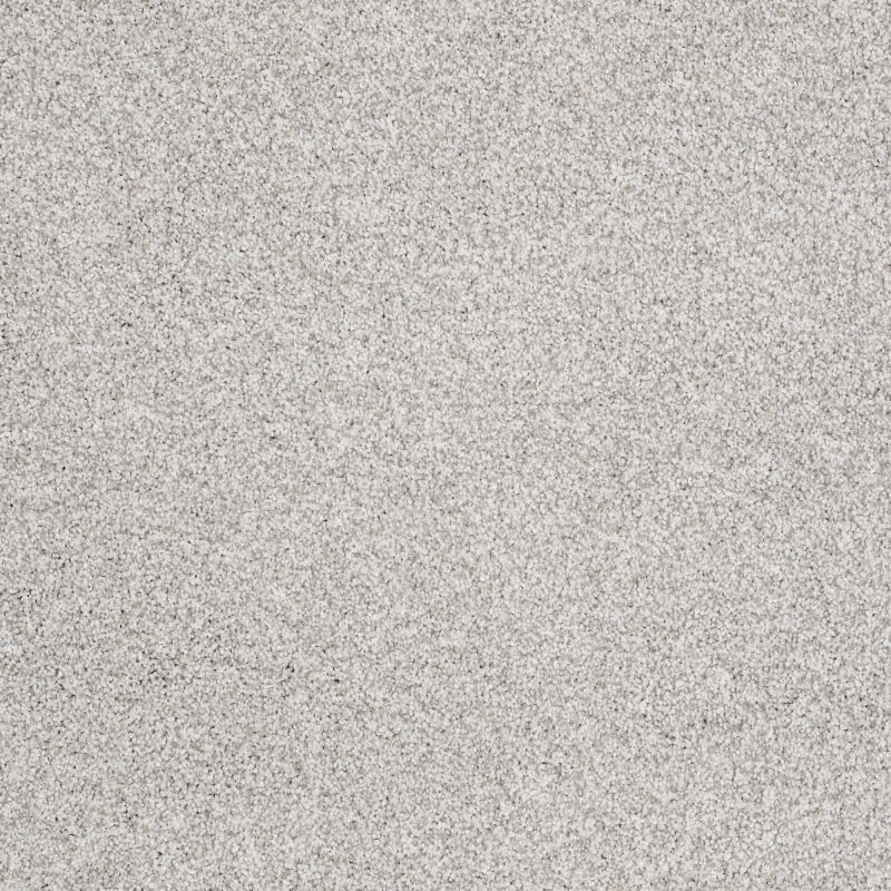 Shaw Floors Foundations Take The Floor Tonal II Net Classique
