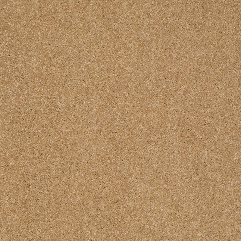 Shaw Floors Value Collections Sandy Hollow Classic I 12 Net Cork