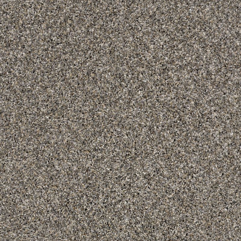 Shaw Floors Simply The Best Absolutely It Boulder