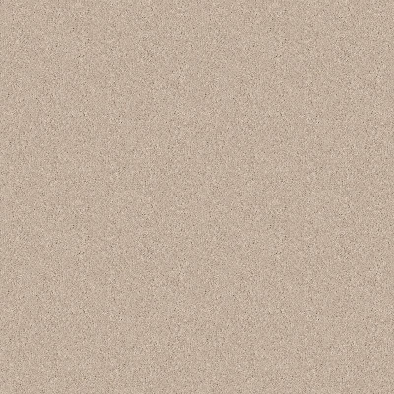Shaw Floors Value Collections Knockout II 12 Net Face Powder