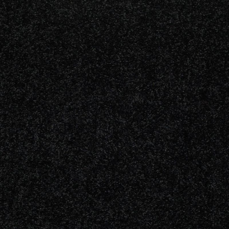Shaw Floors Value Collections Knockout II 12 Net Stallion