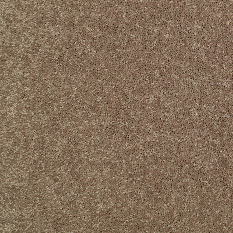 Shaw Floors Value Collections Knockout II 12 Net Sequoia