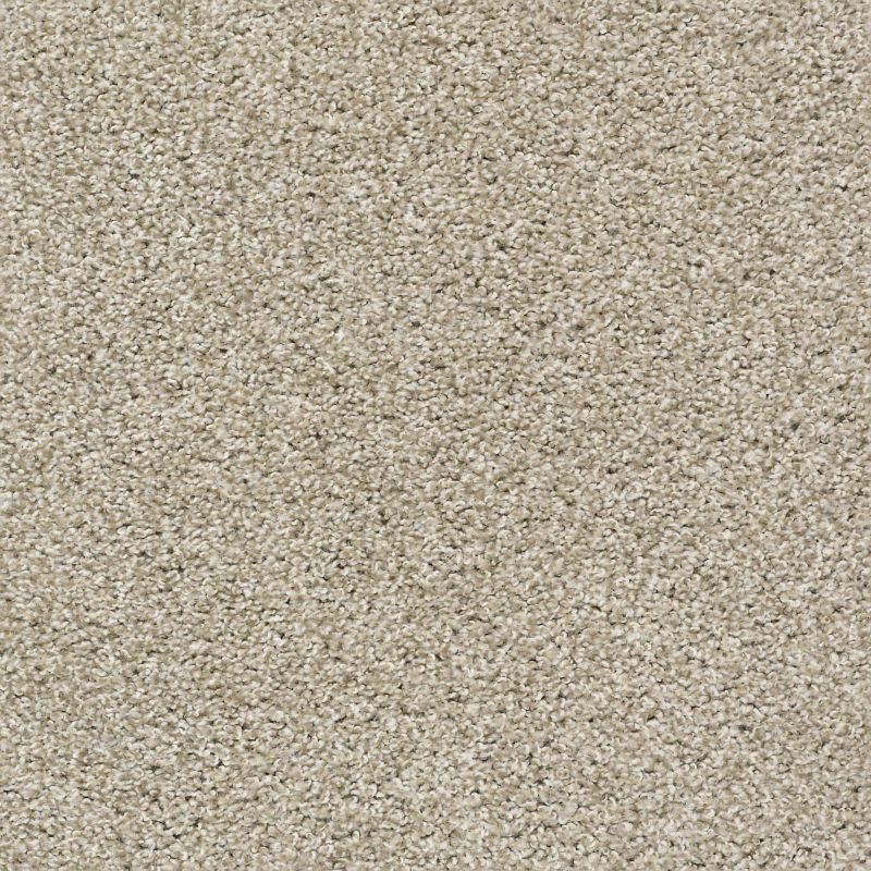 Shaw Floors Value Collections Poised Net Quiet Tan