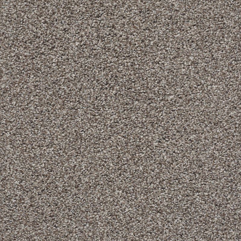 Shaw Floors Value Collections Poised Net Chic Taupe
