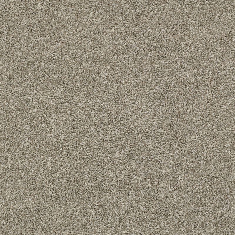 Shaw Floors Everlasting Tonal Owl