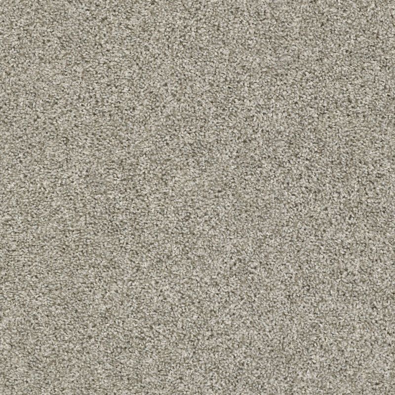 Shaw Floors Everlasting Tonal Ornamental Gate