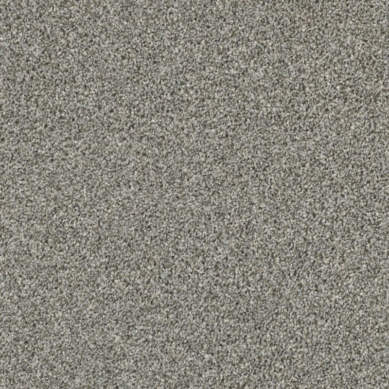 Shaw Floors Everlasting Tonal Dolphin