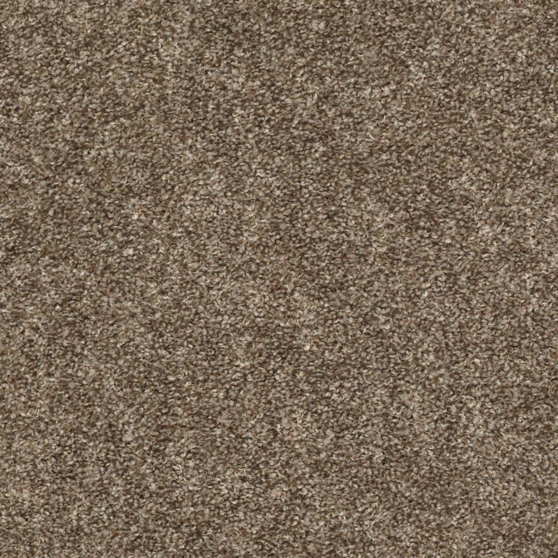 Shaw Floors Everlasting Tonal Rodeo