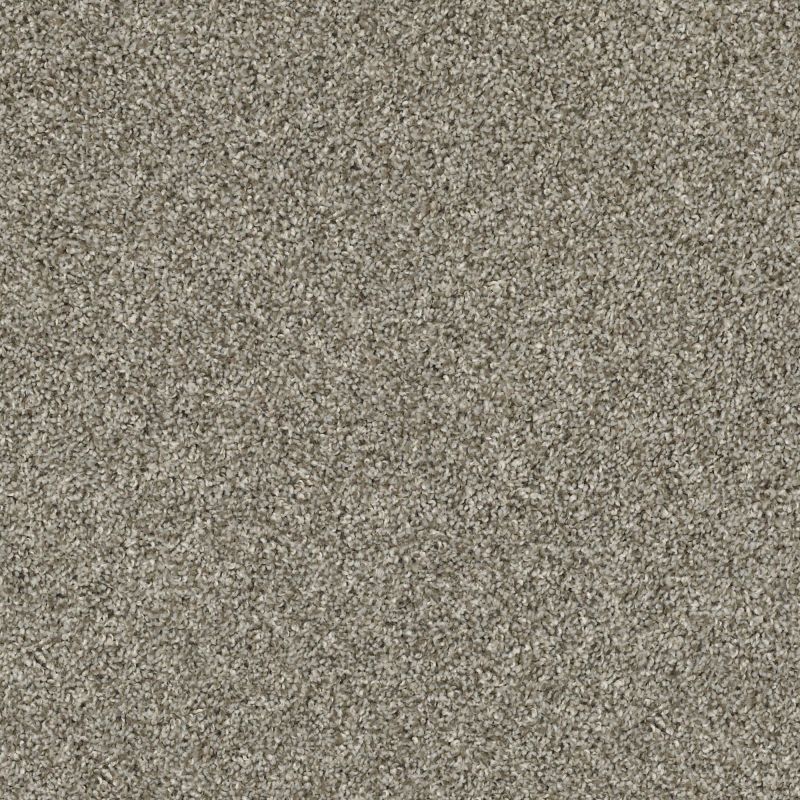 Shaw Floors Everlasting Tonal Barely There