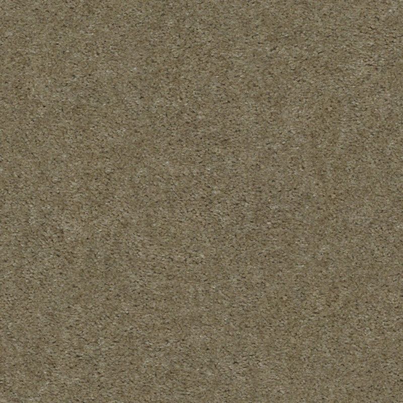 Shaw Floors Value Collections Zipp Net Brown Derby
