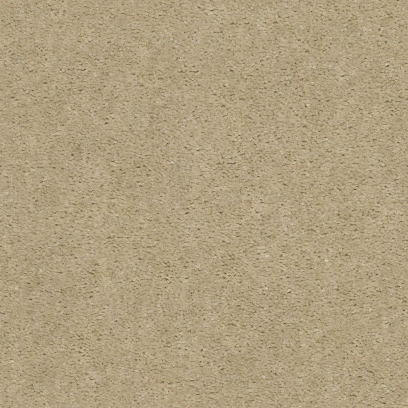 Shaw Floors Value Collections Zipp Plus Net Putty