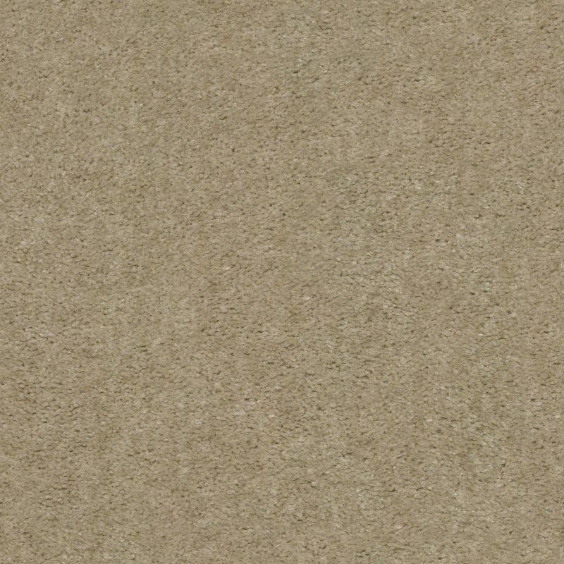 Shaw Floors Value Collections Zipp Plus Net Driftwood