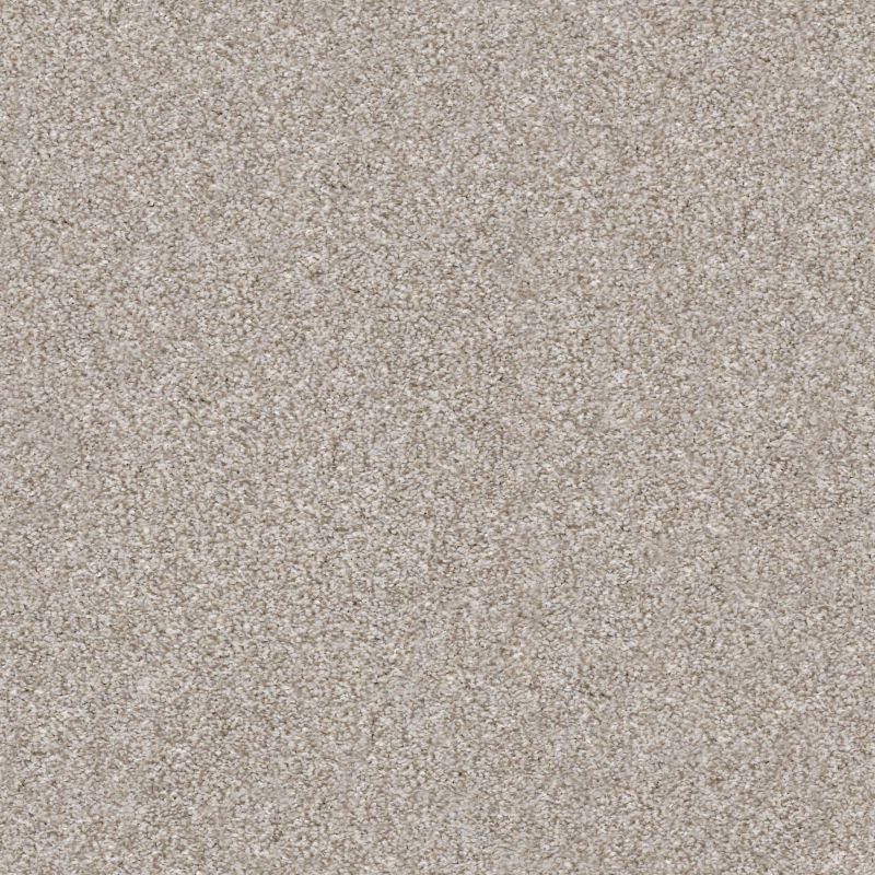 Shaw Floors Simply The Best Make It Mine II Winter Dunes