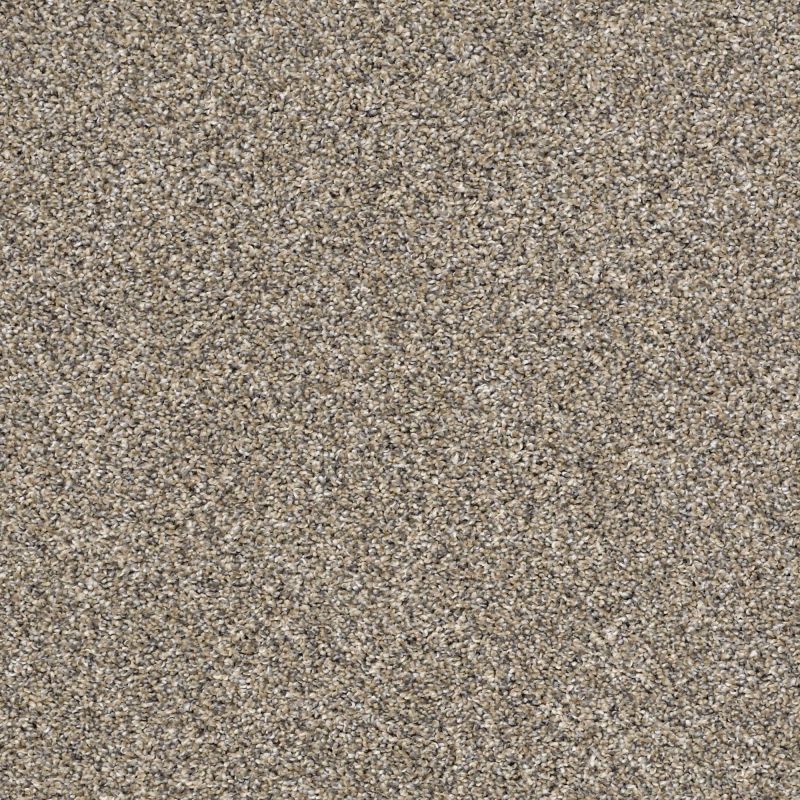 Shaw Floors Simply The Best After It II Pebble Walk