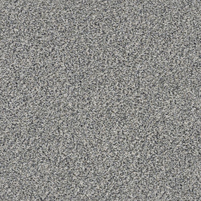 Shaw Floors Simply The Best Within Reach III Serene Still