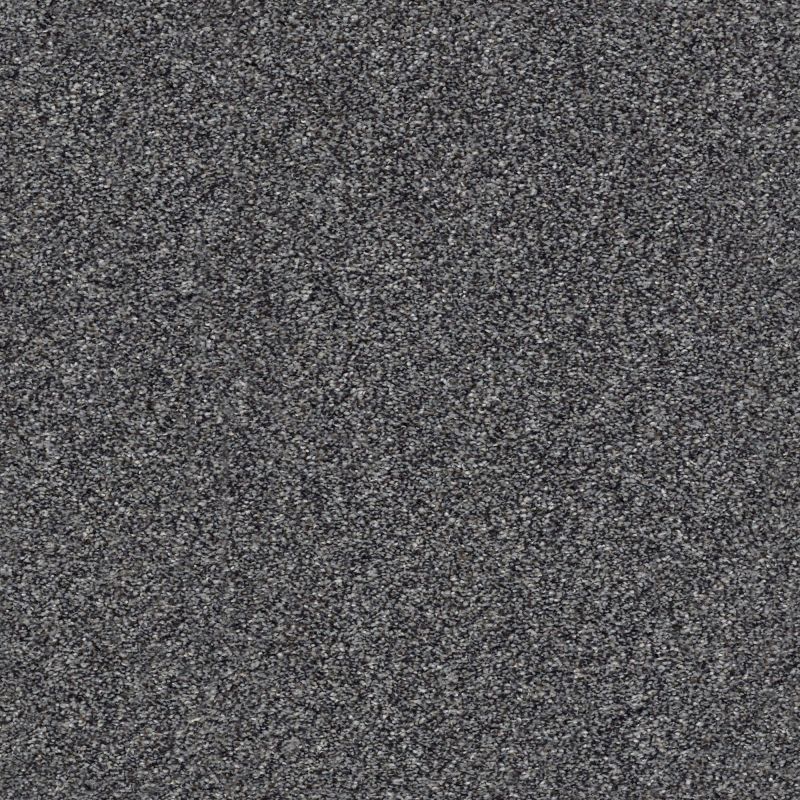Shaw Floors Simply The Best Within Reach III Smokescreen