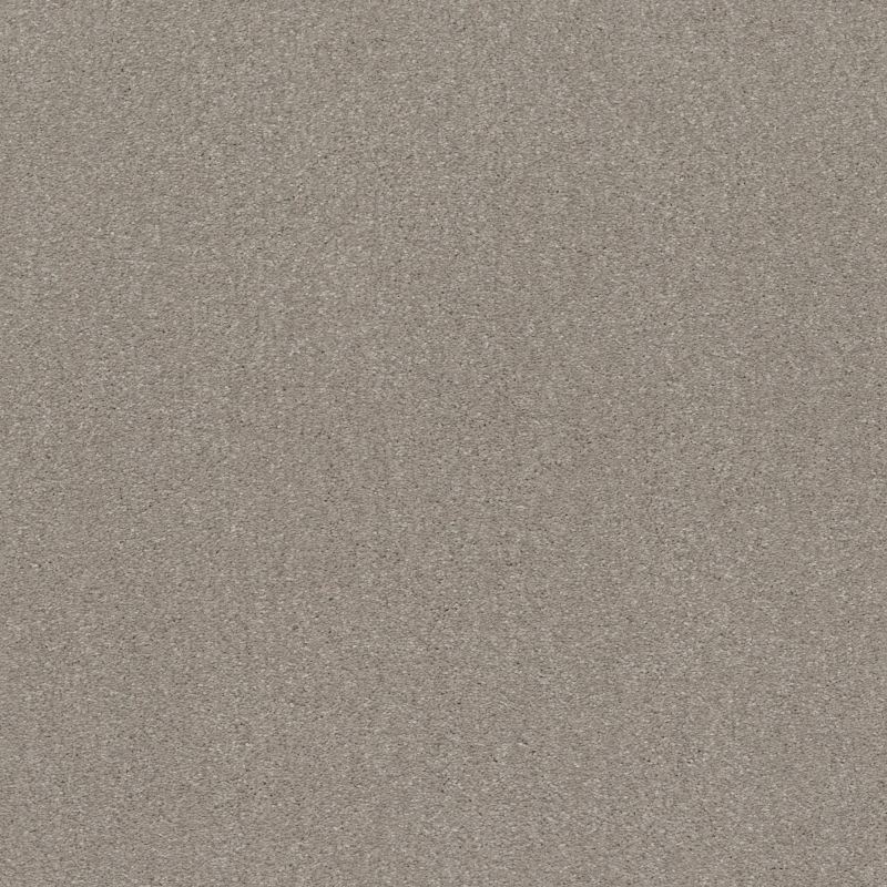 Shaw Floors Simply The Best Solidify III 12' Greige