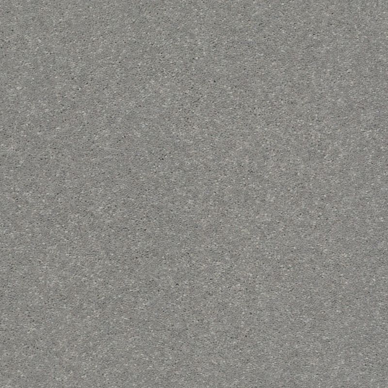 Shaw Floors Simply The Best Solidify III 12' Dusty Trail