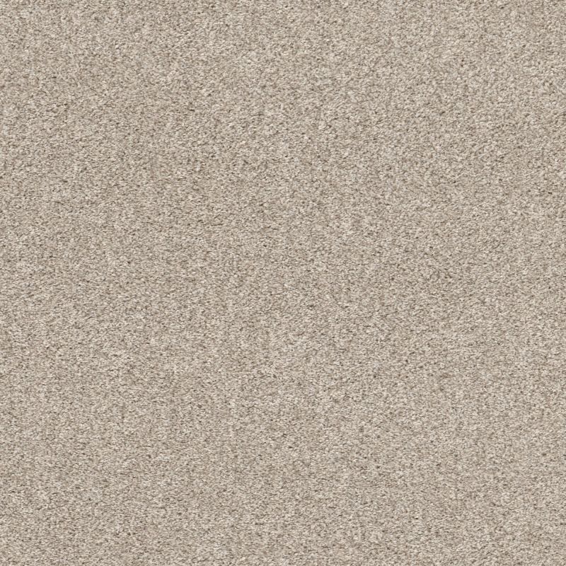 Shaw Floors Pet Perfect Plus Calm Serenity I Washed Linen
