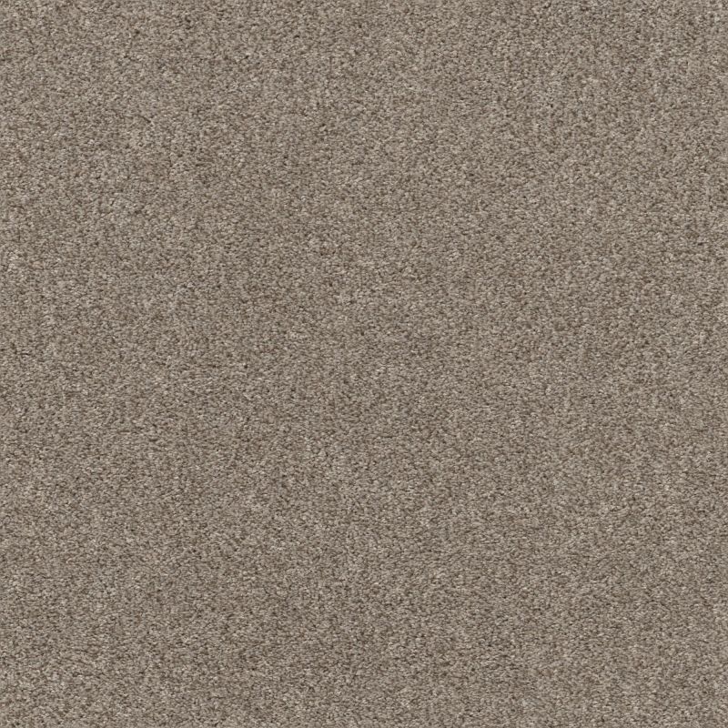 Shaw Floors Pet Perfect Plus Calm Serenity I Desert View