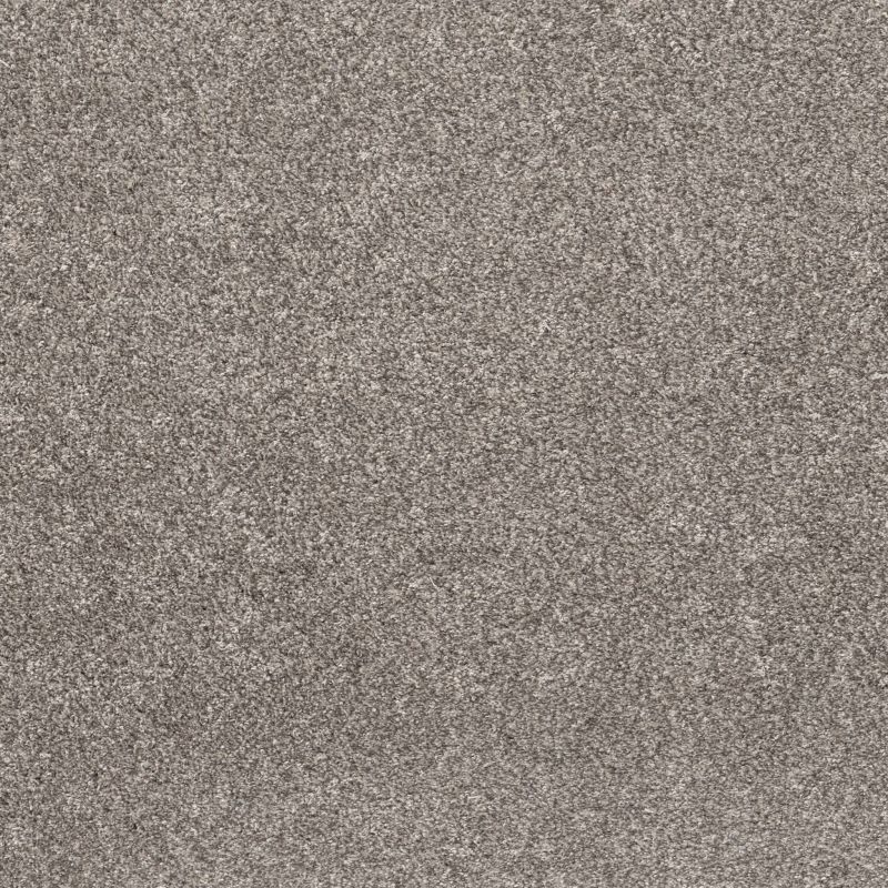Shaw Floors Pet Perfect Plus Calm Simplicity I Washed Linen